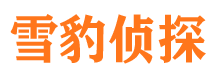 若羌市私家侦探